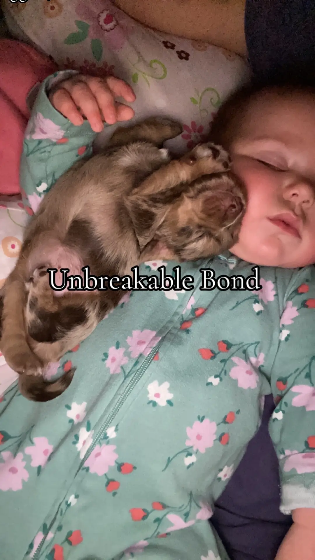 The Bond between these two is unbreakable . Bailee and Ella are best friends , where Ella is Bailee is not far behind . #bestfriend #dogsoftiktok #furbaby #toddlers #dachshund 