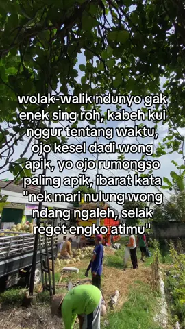 ssseessszzz 🔥🍈                                    #fyppppppppppppppppppppppp #masukberanda #melonbalap🍈🤙 #manunggalrahayu #restufamily 