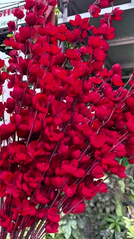 hoa mai đào giả trang trí #hoagia #hoadao #hoamai #hoamaigia 