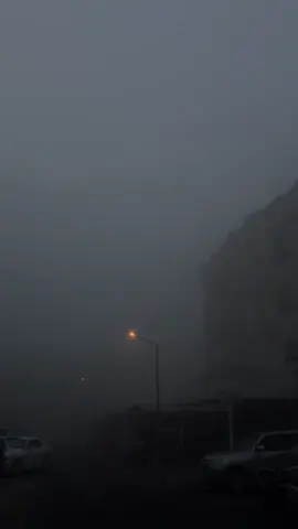 🌫️ #explorepage #kuwait #fog #silenthill 
