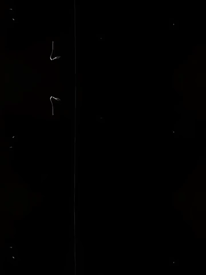 #prstejaa : besok senin🗿 —prst? 5mb:https://alightcreative.com/am/share/u/CfT3VPuF34UjP906u9raYYJuqmJ2/p/YdxhIwBUl7-36d1ed894e3a349d _ _ _ #707herakles #4vesper #preset #presetalightmotion #mlbbcreatorbase #presetkece #presetxml