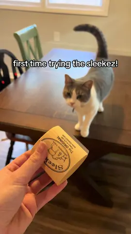 Literally the easiest way to get Stinks undercoat deshedded! Next time we should probably go outside 😅 #cat #tiktokshop @SleekEZ USA #sleekez 