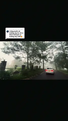 Trả lời @les đây săn sương mù tại trường nhee☁️☁️🏫#hocsinh #xuhuong #vairal #49lamdong #tiktok 