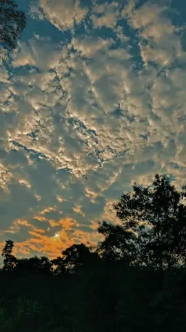 Ya tinggal Serlock lhh🤣 #Trend? #viral #fyp 