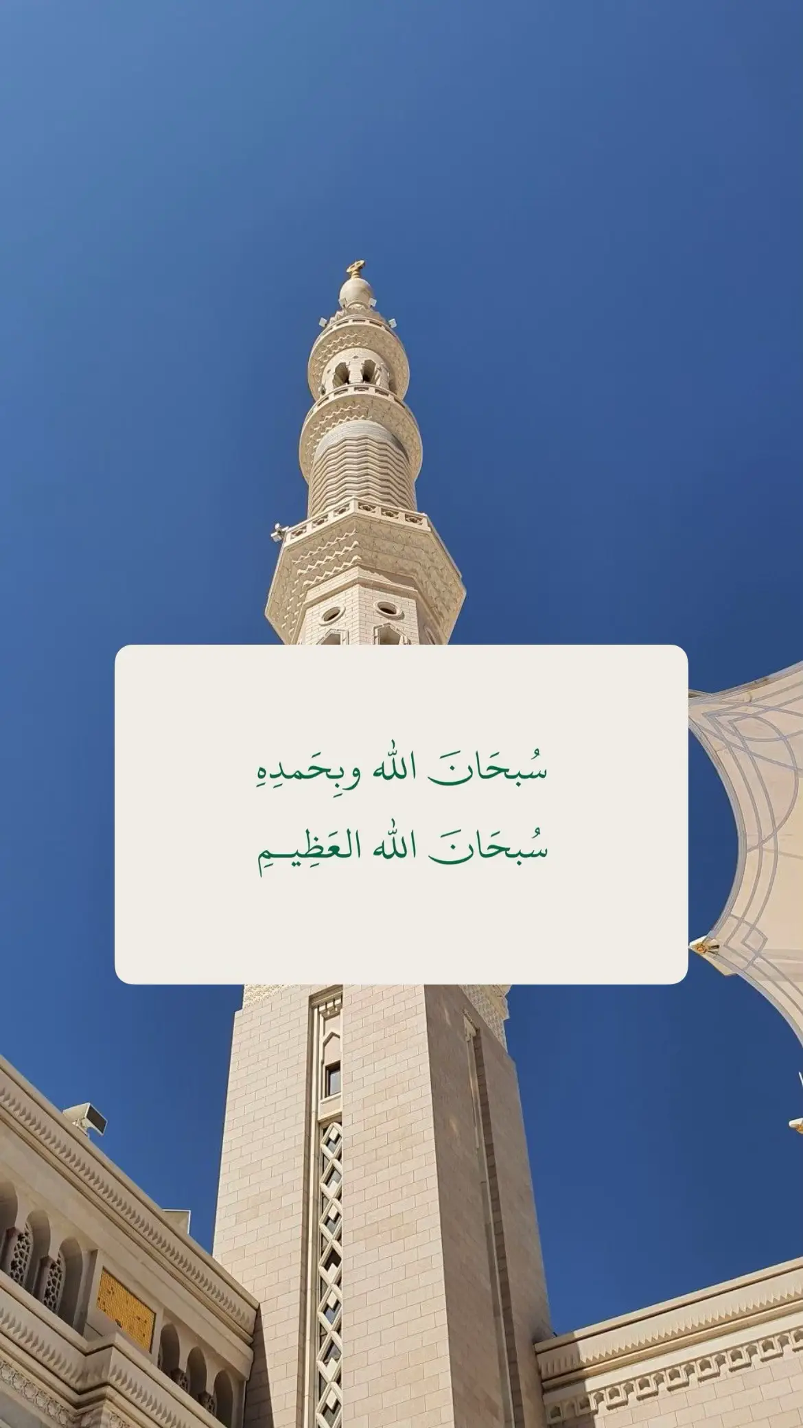 سبحان الله وبحمده #فذكر_فإن_الذكرى_تنفع_المؤمنين #اذكار_ادعية_قرآن_كريم_مقاطع_دينية #استغفرالله_واتوب_اليه_من_كل_ذنب_عظيم #الصباح #اذكار_الصباح 