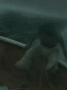 මං දැන් මැරෙන්න ලෑස්තියි... 🥺❤️{ lifs if pi }  #filmedit #edit #sinhala #trending #lifeofpi 