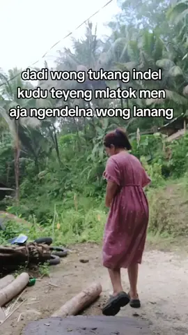 kudu tyeng mlatok #fypffyyyppppppppppppppppp  #wongnggunung  #wongngebuk 