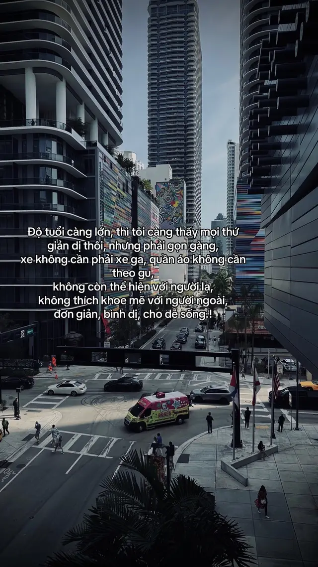 年纪越大，我越觉得事情简单，但整洁， 汽车不需要是踏板车，衣服不需要 款式，不再向陌生人炫耀，不喜欢向外人 炫耀，简单，平淡，轻松！#sttdoi #xhtiktok #xahoi #đời #thinhhanh 