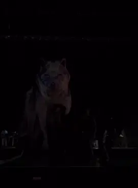 pa tipos como tú... #shakira #fypシ゚viral #lasmujeresyanolloran #quito_ecuador🇪🇨 #tour2025 