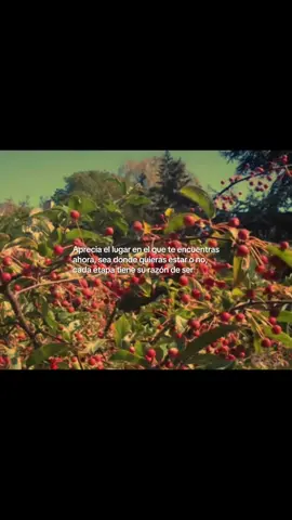 La vida nunca será una línea recta ni perfecta @A⃞    n⃞    n⃞    a⃞ 