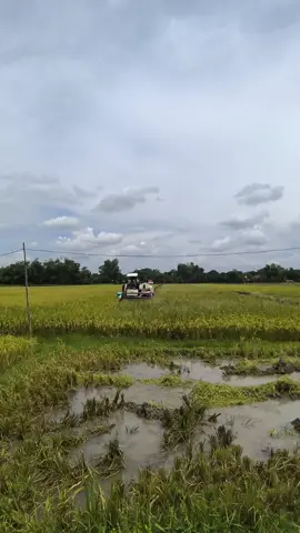 kuat kyok bapak sabar kyok ibuk😀😁 #bimo102ss  #combinehervesterindonesia  #maxibimo102  #bimo102extrime  #bimo102 