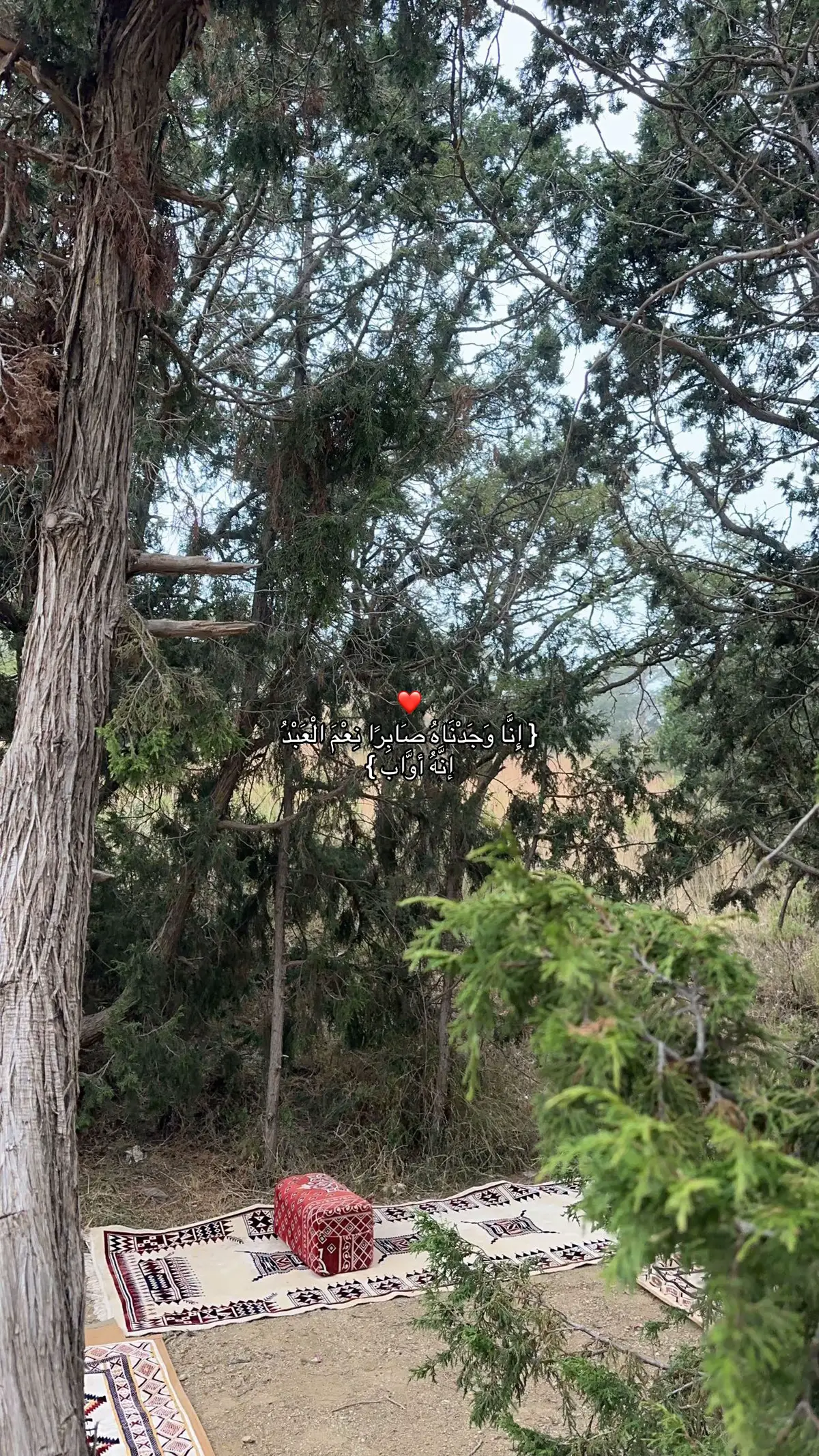 التوبة                                          #لااله_الا_انت_سبحانك_اني_كنت_من_ظالمين #سبحان_الله_وبحمده_سبحان_الله_العظيم #اللهم_صل_وسلم_على_نبينا_محمد #استغفرالله #استفغر_الله_العظيم 