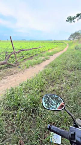 #fyp #fpyシ #viewတေရှယ်ကျ☹️ #fypပေါ်ရောက်စမ်း 