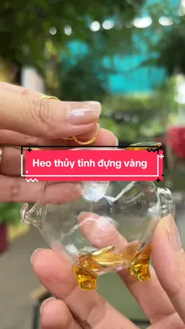 Heo thủy tinh đựng vàng #heothuytinhdungvang #heothuytinhdungtientietkiem #heothuytinhmini #heodungvang #nguyenle66888 