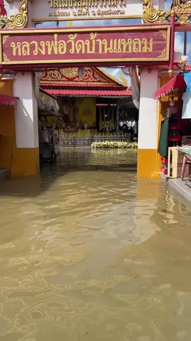 ตลาดน้ำวัดเพชรสมุทร แม่กลอง  ปีละครั้ง 09/11/69 น้ำทะเลหนุน เดี๋ยวก็ลงจ้า  เรื่องปกติคนแม่กลอง  1 ปีจะ เป็นตลาดน้ำช่วงเช้า ถึงสายๆ  ปีละ 5-6  วัน  #เทรนด์วันนี้tiktok #เทรนด์วันนี้ #เรื่องปกติสมุทรสงคราม #คนแม่กลองไม่ตื่นเต้น #ข่าววันนี้ 