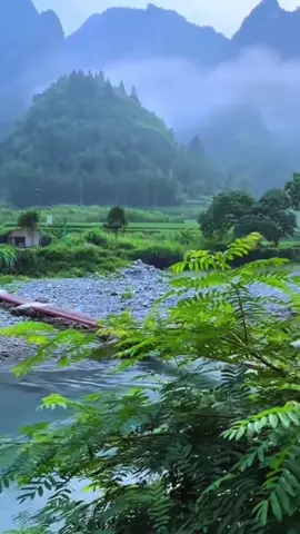 #خلقكم_ثم_يتوافكم #شعبان_الصياد 