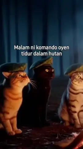 komando oyen tidur dalam hutan malam ni. semoga dipermudahkan urusan... harap tidak ada hantu kacau 😄😄😄🤭
