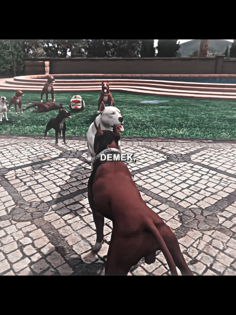 En büyük | CR vermeden yapma. #gta5 #roleplay #oyunrotası #pitbullunhayatı #fypage 