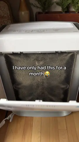 You’d be shocked if you knew what’s floating around in your air right now 😳 The AirDoctor cleans it before you even notice! It automatically senses and removes allergens, smoke, dust, and pet dander so your home’s air stays fresh 24/7. 🌿💨 #tiktokshopbfcm #tiktokshopblackfriday #tiktokshopcybermonday #airdoctorairpurifier 