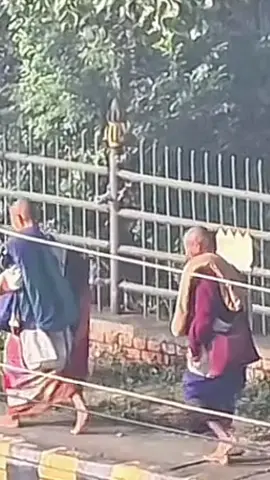 Thầy Minh Tuệ 9/11 #thayminhtuemoinhat #thayminhtue #thichminhtue #minhtue #tinco369 