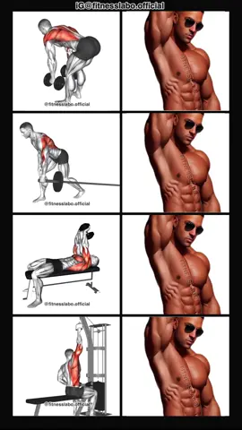 ✅ How to Build Wider Lats  ① Dumbbell Bent Over Row ② Landmine Row  ③ Pullover ④ One Arm Lat Pulldown  3 sets 12-15 reps 