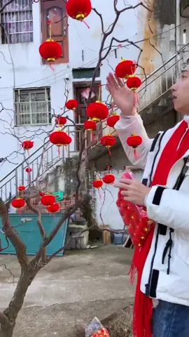 Đèn Lồng Đỏ Trang Trí Tết Bằng Nhựa Phủ Nhung Quả Cầu Đỏ Treo Cây Đào Quất Mai #denlongdo #denlongminitrangtridaoquattet #denlongtreotet #phukientrangtritet #binhngo2026 