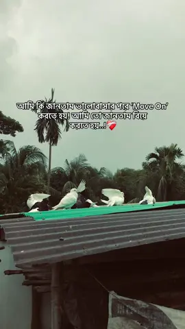 আমি কি জানতাম ভালোবাসার পরে ‘Move On’ করতে হয়! আমি তো জানতাম বিয়ে করতে হয়..!❤️‍🩹 #foryou  #the_spydoo 