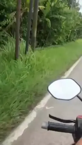 Telat dikit pindah alam🥲 #tidakuntukditirugaesss #viralvideo #viral #fyp #stoptawuran 