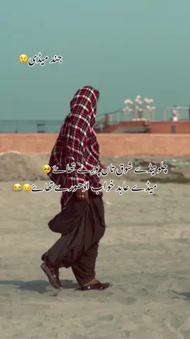چلو تیڈے شوق تاں پورے تھاے🥺#viral #viralvideo #foryou #foryoupage #fyp @⚔️Sardar⚔️🗡 @ملنگ دا ہنڈا🤦 