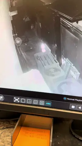 spider on my work camera throwin it back || thanks alex, i stole this. #spider #stickbugged #gangnamstyle 