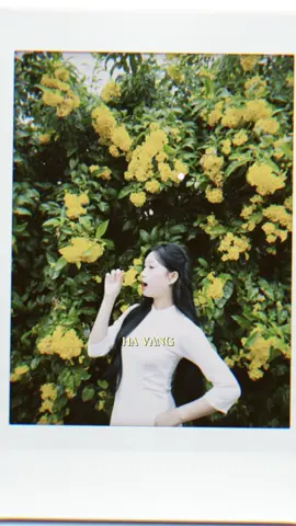 Ha Vang @Hứa Khánh Ly 🐼 #fpyシ #xuhuong #chiyeuminhanh 