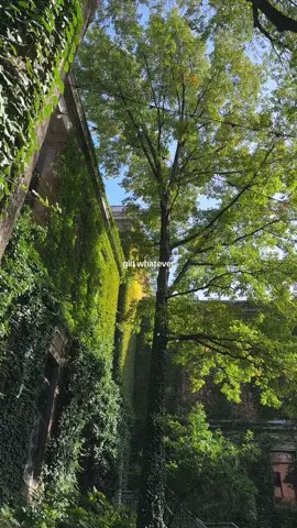 my weekly escape 💚