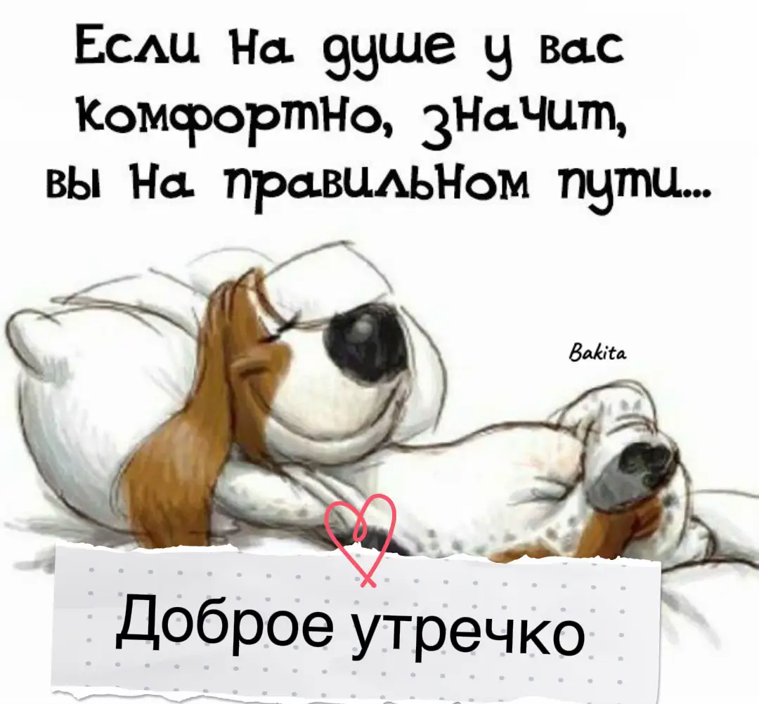 #доброеутро #настроение #позитив 