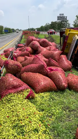 😇#cctvbakauheni #drivermuda #sumatrarace🏁 #fyppppppppppppppppppppppp #lintassumatra 