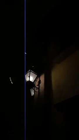 #creatorsearchinsights #foryou #foryoupage #viral #fyppppppppppppppppppppppp 