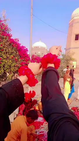 #millionviews #viralvideo #foryoupage #fypシ゚ #growaccount @چوہدری عاصم سیال۔ 