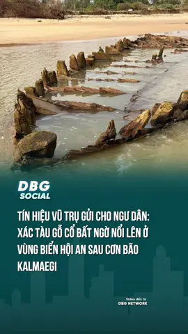 Xác tàu gỗ cổ hiện có nguyên hình ở vùng biển Hội An #DBGSocial #xactau