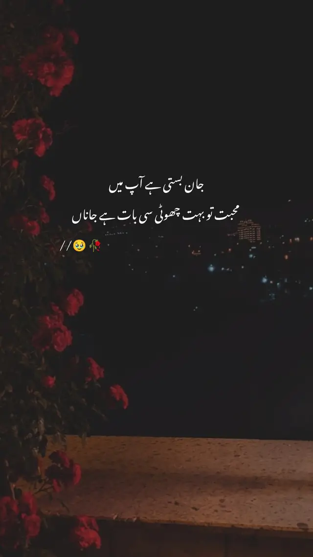 Muhabat to bhoot choti sii baat ha 🥹 #poetrystatus #fyp #foryou #foryoupage #hani___00 