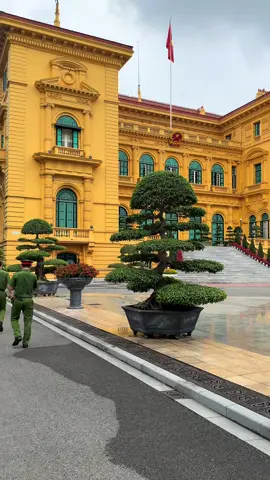 #xuhuong #viral #phuchutich 