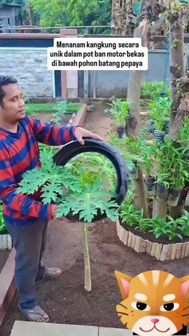 #tiktokfyp #tiktokviral #trendingtiktok #trending #semuaorang