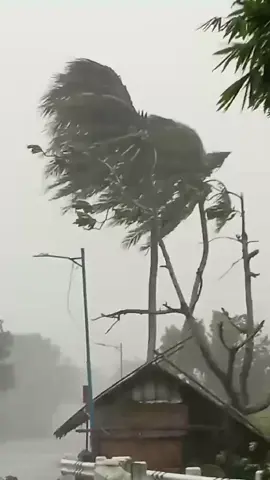 DELUBYONG HATID NG SUPER BAGYONG ‘UWAN’ SA CATANDUANES ⚠️ Halos mag-zero visibility na sa sobrang lakas ng ulan at hangin sa isla ng #Catanduanes dahil sa paghagupit ng Super Typhoon #UwanPH ngayong Linggo, November 9, 2025. Kasalukuyang nakataas ang Signal No. 5 sa naturang probinsya dulot ng bagyo. 🎥 Nicai C. #BantayBagyo #SuperTyphoon #UwanPH 
