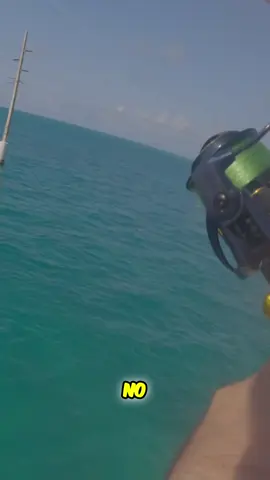 Pesca Ilegal: ¡Capturando Snapper y Liberando Pargos! Acompañenos en nuestra aventura de pesca. Donde 'nosotros' capturamos snapper ilegal y liberamos pargos. 'Nosotros' utilizamos anzuelos circulares Mustang, carnada especial, y técnica secreta con la corriente. ¡Disfruta de la pesca! #PescaIlegal #Snapper #Pargos #PescaDeportiva #AtlanticFishing #ReynaldoLider #AnzuelosMustang #PescaEnElGolfo #CarnadaViva #PescaResponsable