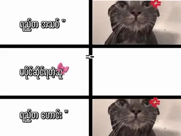 မပျော်တော့ဘူးလေ#MANEE 
