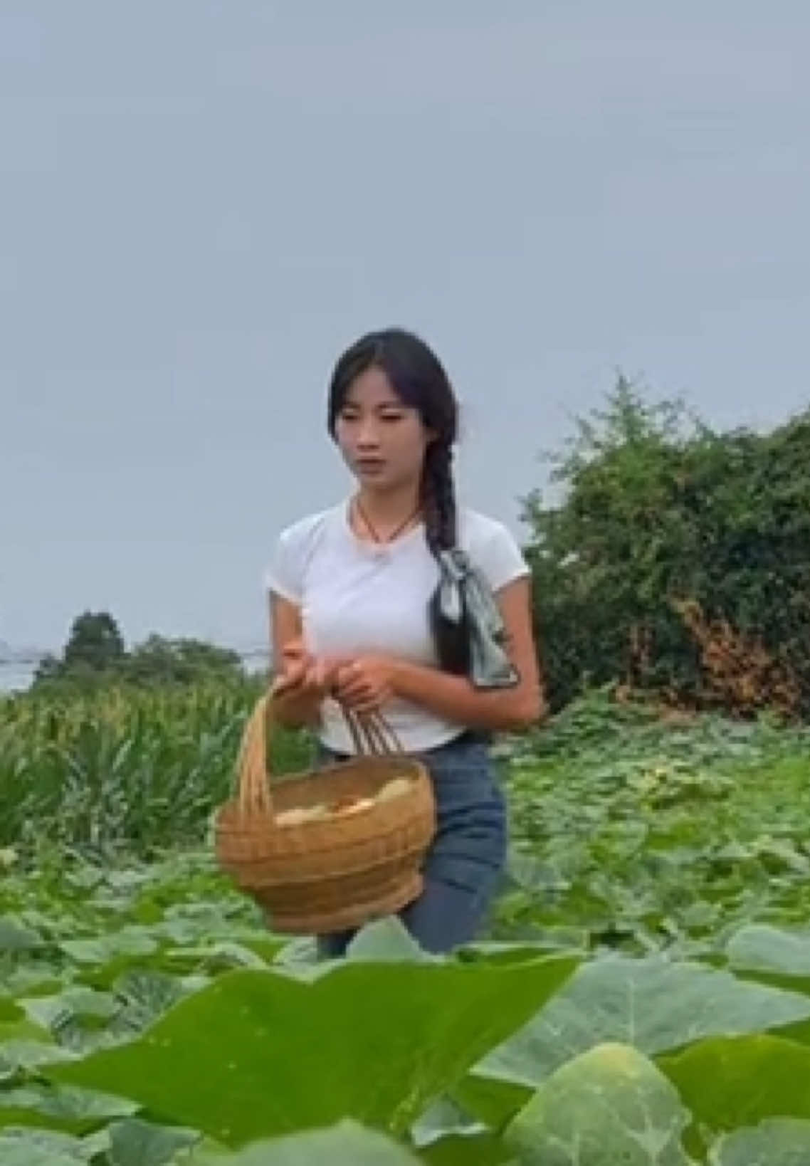 Spicy flavors awaken the taste buds. Sweet and savory flavors soothe the soul. Pumpkin and frog legs are a love letter to midsummer #ruralfood #rurallife 