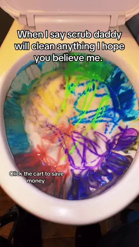 #onthisday bundle for the best price #CleanTok #scrubdaddy #asmrcleaning #cleaninghacks 