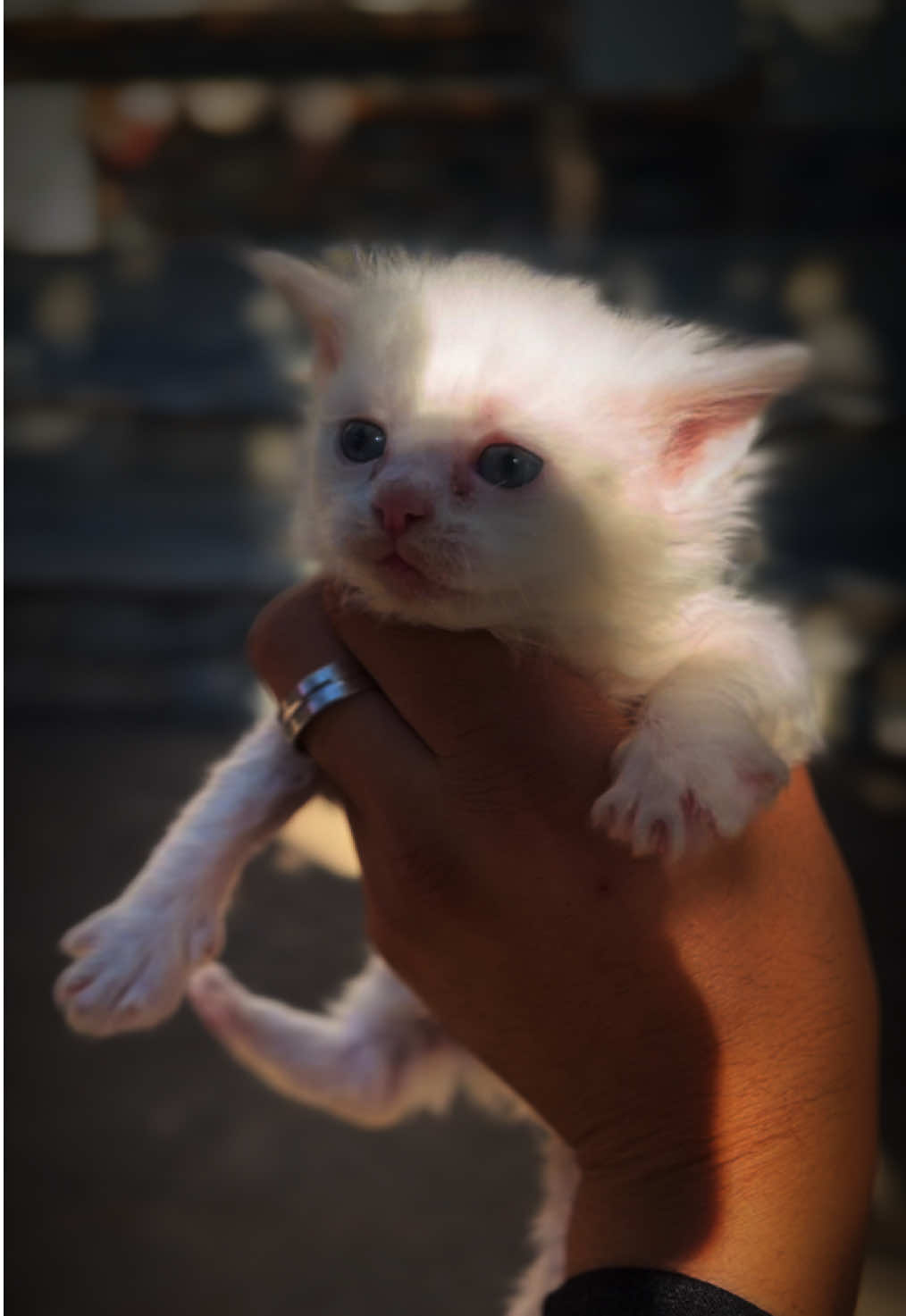 #fyp #foryou #foryourpage #viral #viralvideo 