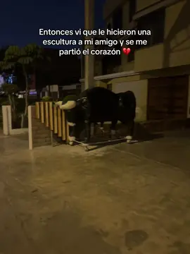 Etiqueta a ese amigo 😞💔 #viralvideos #toro #venado #cachudo 
