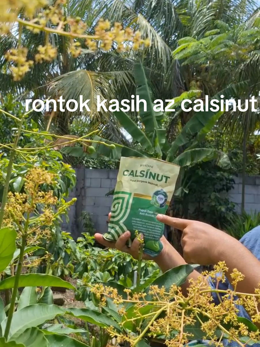 calsinut sangat bagus buat mencegah kerontokan pada bunga dan buah#calsinut#pupukcalsinut