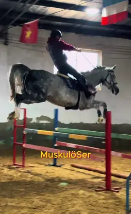 Du bist mein Ein und Alles.#Pferd