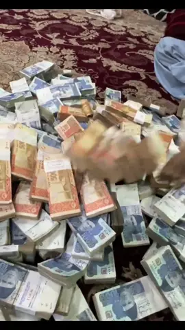 #jutt #virl #for #you #money 